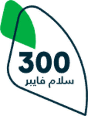 Fiber مزود الخدمة 300